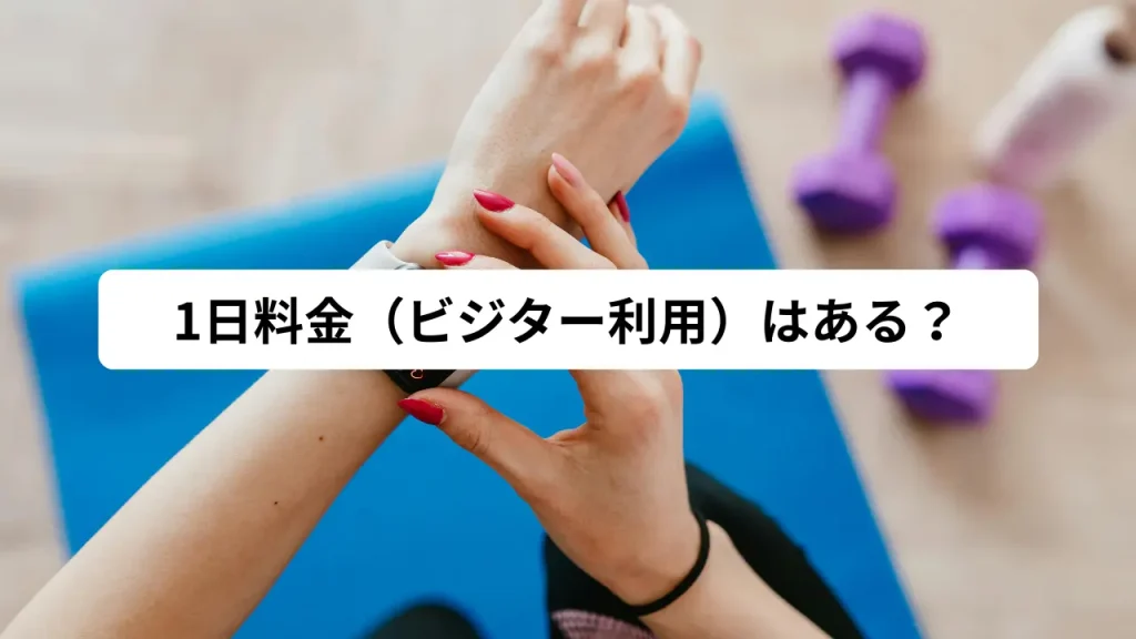 1日料金はある？
